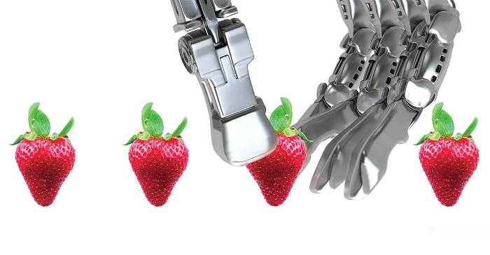agrobot1