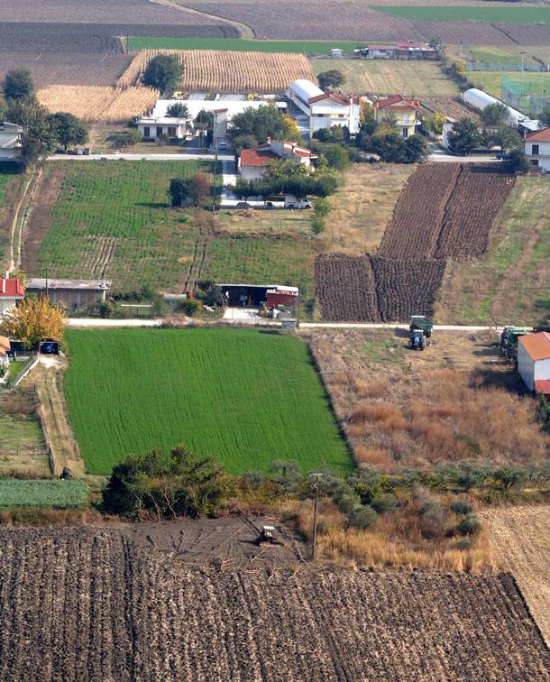 agrotikoi synetairismoi