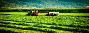 Όλες οι «αγροτικές» τροπολογίες – «αίνιγμα» που πέρασαν με το νομοσχέδιο του ΥΠΕΚΑ