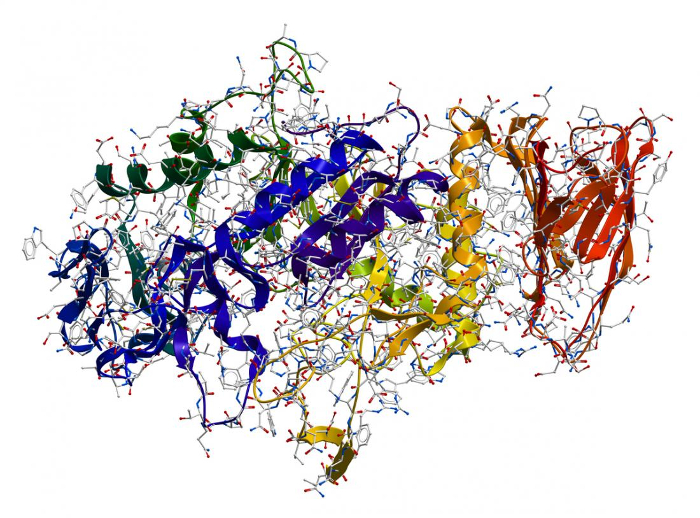 alpha amylase enzyme