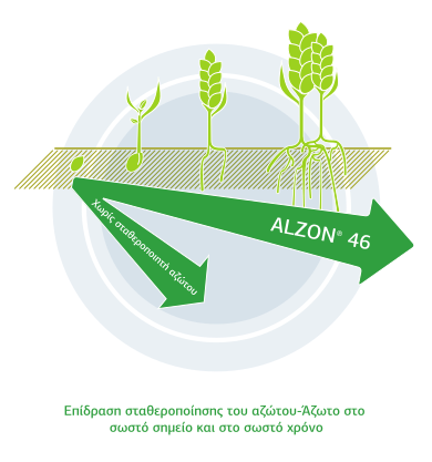 alzon46 epidrash