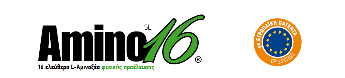 amino16