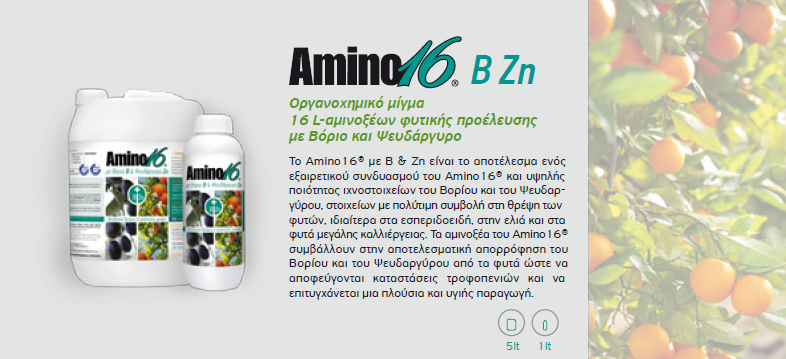 amino16 B Zn