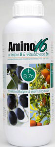 amino 16BZn
