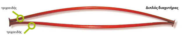anthesis3