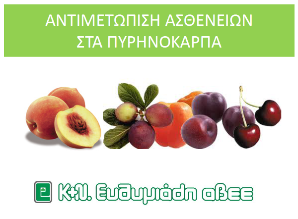 antimetwpish astheneiwn pyrhnokarpa kneytymiadis 600