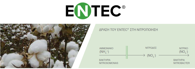 aponitropoihsh entec