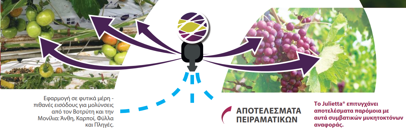apotelesmata