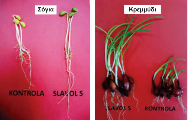 apotelesmata 1.2