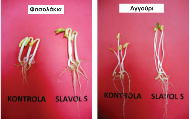 apotelesmata 3.4