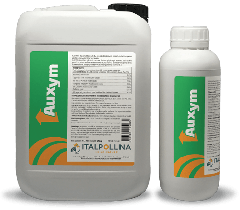 auxym 1L 5L 01