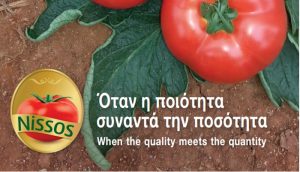 Νέα υβρίδια τομάτας από την Hazera