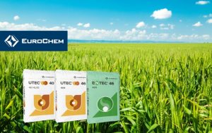 Επιφανειακή λίπανση σιτηρών με λιπάσματα EuroChem – γιατί κάθε κόκκος έχει σημασία