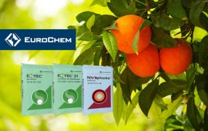 Λίπανση της EuroChem, για άρωμα και γεύση που ξεχωρίζουν