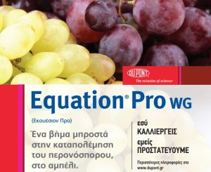 H απάντηση της DuPont στην αντιμετώπιση του Περονόσπορου στο Αμπέλι