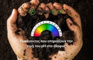 Παράγοντες που επηρεάζουν την τιμή του pH στο έδαφος