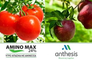 AMINO MAX 24% – Βοηθάει το φυτό σας να αντεπεξέλθει σε οριακές καταστάσεις