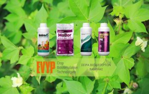 Εφαρμογές Βιοδιεγερτών Amino 16® στο Βαμβάκι!
