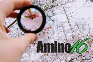 Amino16®… Αν ψάχνεις λύση για τις χαμηλές θερμοκρασίες της άνοιξης