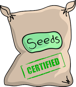 bagofseeds 1