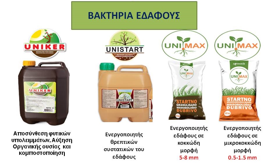 bakthria 1 1