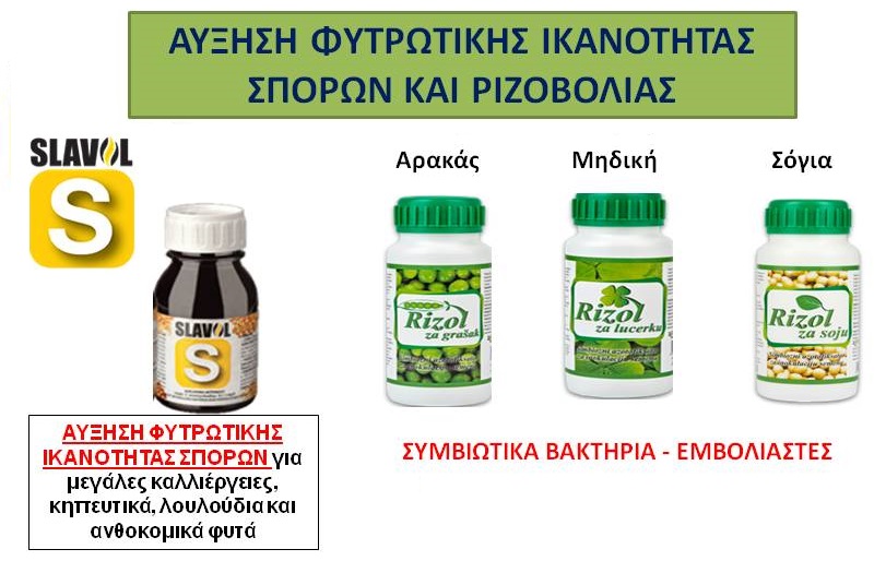 bakthria 3 3