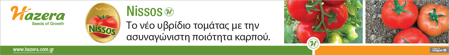 banner700x300 nissoskalloni 01