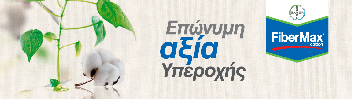 banner LONG FIBERMAX