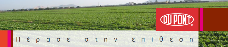 banner long2
