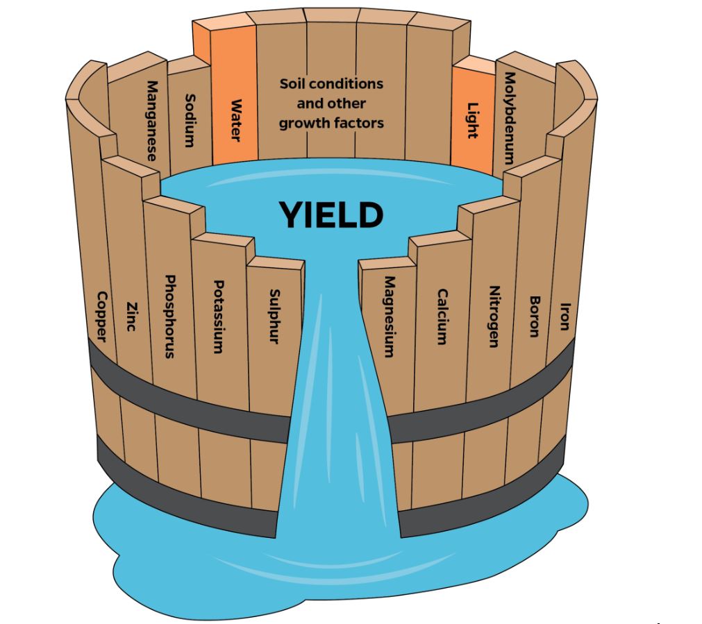 barrel Liebigs
