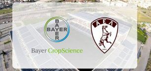 bayer ael 144