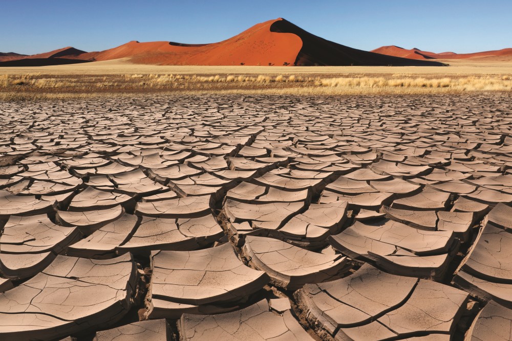 bayer climate a
