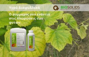 Η BIOSOLIDS δίνει τη λύση στο πρόβλημα της χλώρωσης με το Myr Chlorosis