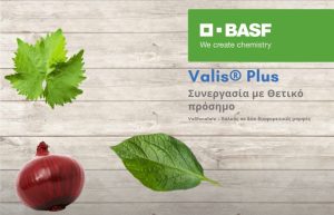 Valis Plus = Συνεργασία με θετικό πρόσημο