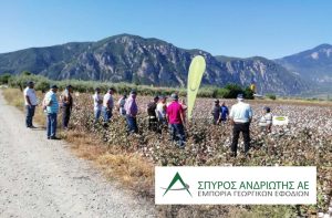 Field day βαμβακιού στην Ηράκλεια Φθιώτιδας, από την Σπύρος Ανδριώτης ΑΕ