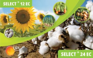 Select 12 & 24 EC – Ο ηγέτης των Αγρωστωδοκτόνων