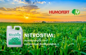 NITROSTIM: Ανακαλύψτε τον καινοτόμο βιοδιεγέρτη