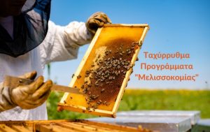 Ταχύρρυθμα Προγράμματα “Μελισσοκομίας”