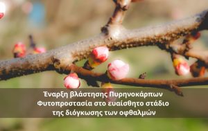 Έναρξη βλάστησης Πυρηνοκάρπων – Φυτοπροστασία στο ευαίσθητο στάδιο της διόγκωσης των οφθαλμών