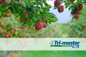 Tri-master® 19SC: Η νέα πρόταση στα χαλκούχα σκευάσματα!