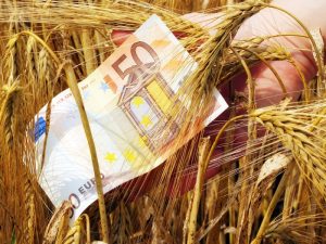 Δευτέρα ξεκινούν οι πληρωμές στις Συνδεδεμένες Ενισχύσεις – Δείτε τα ποσά