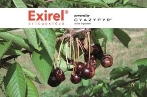 Άδεια διάθεσης στο εντομοκτόνο EXIREL® 10SE της FMC, για την αντιμετώπιση του Drosophila suzukii στο κεράσι