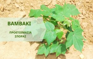 Πώς να προετοιμαστείτε για τη σπορά βαμβακιού