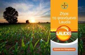 LAUDIS® – Η Καινοτομία στα Ζιζανιοκτόνα Καλαμποκιού