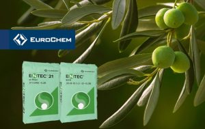 EuroChem: Ο σύμμαχος στη μετασυλλεκτική λίπανση της ελιάς
