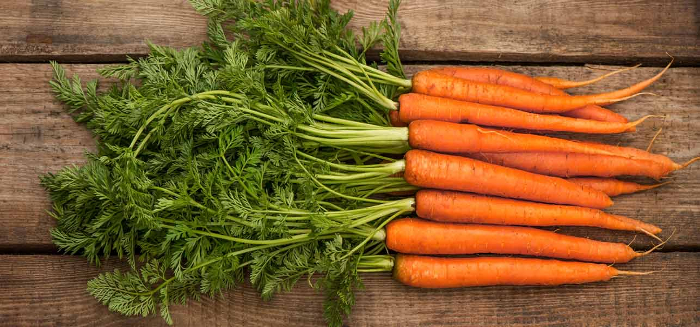 carrot2