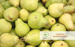 Κίνδυνος προσβολής των μηλοειδών από μυκητολογικές και βακτηριολογικές ασθένειες.
