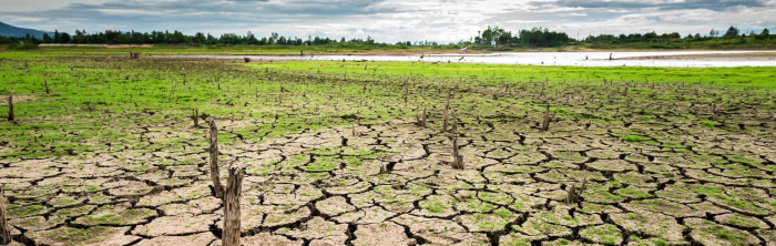 climate change