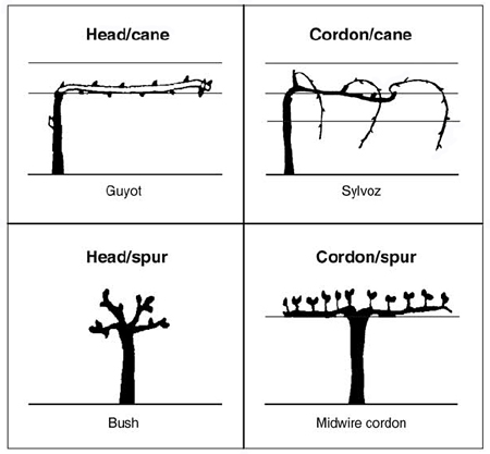 commontrainingsystems