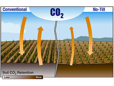 conservation agriculture 2